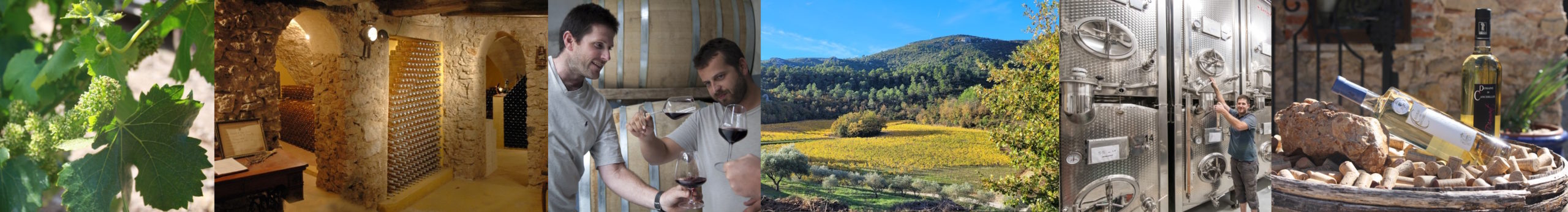 vins blanc rose rouge agriculture biologique coteaux varois en Provence